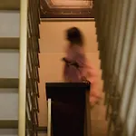 Eisenhut Boutique 4*